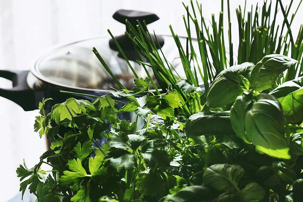 Keep Herbs and Cut Flowers Fresh Longer