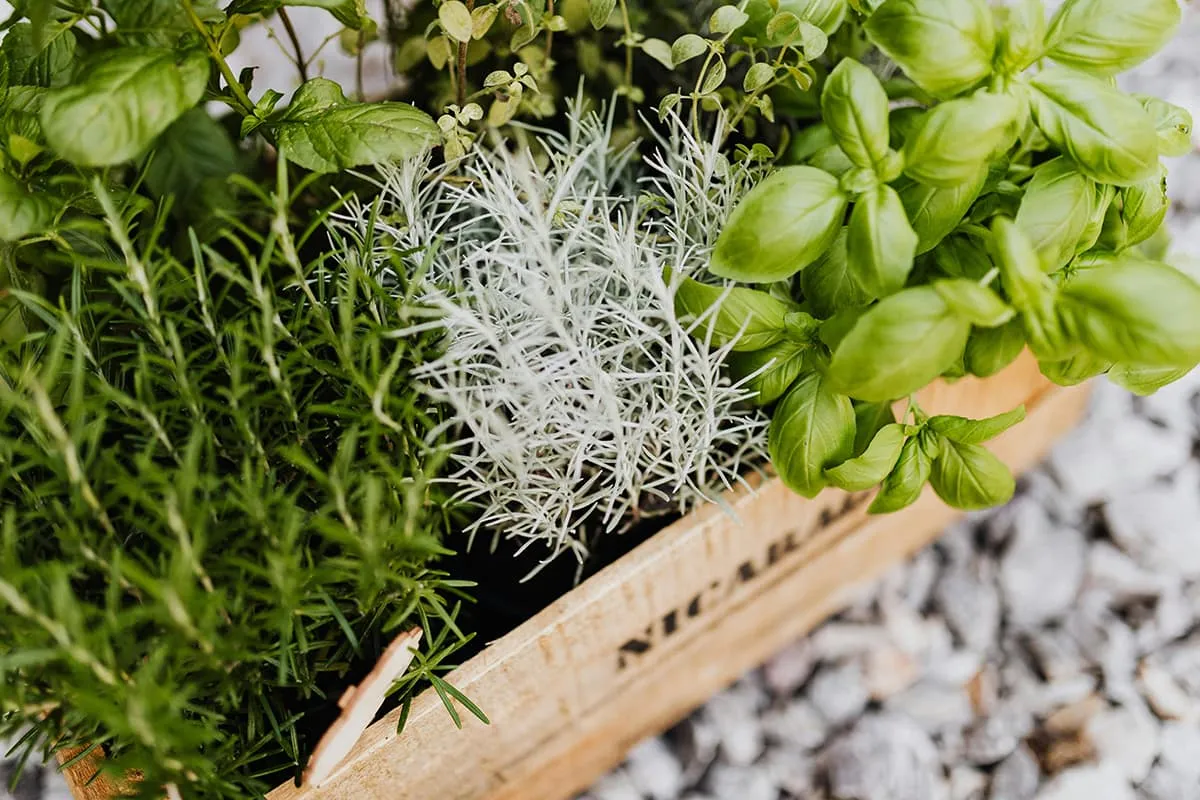 Kitchen Witchcraft: Simple Food Rituals to Enhance Your Intuition