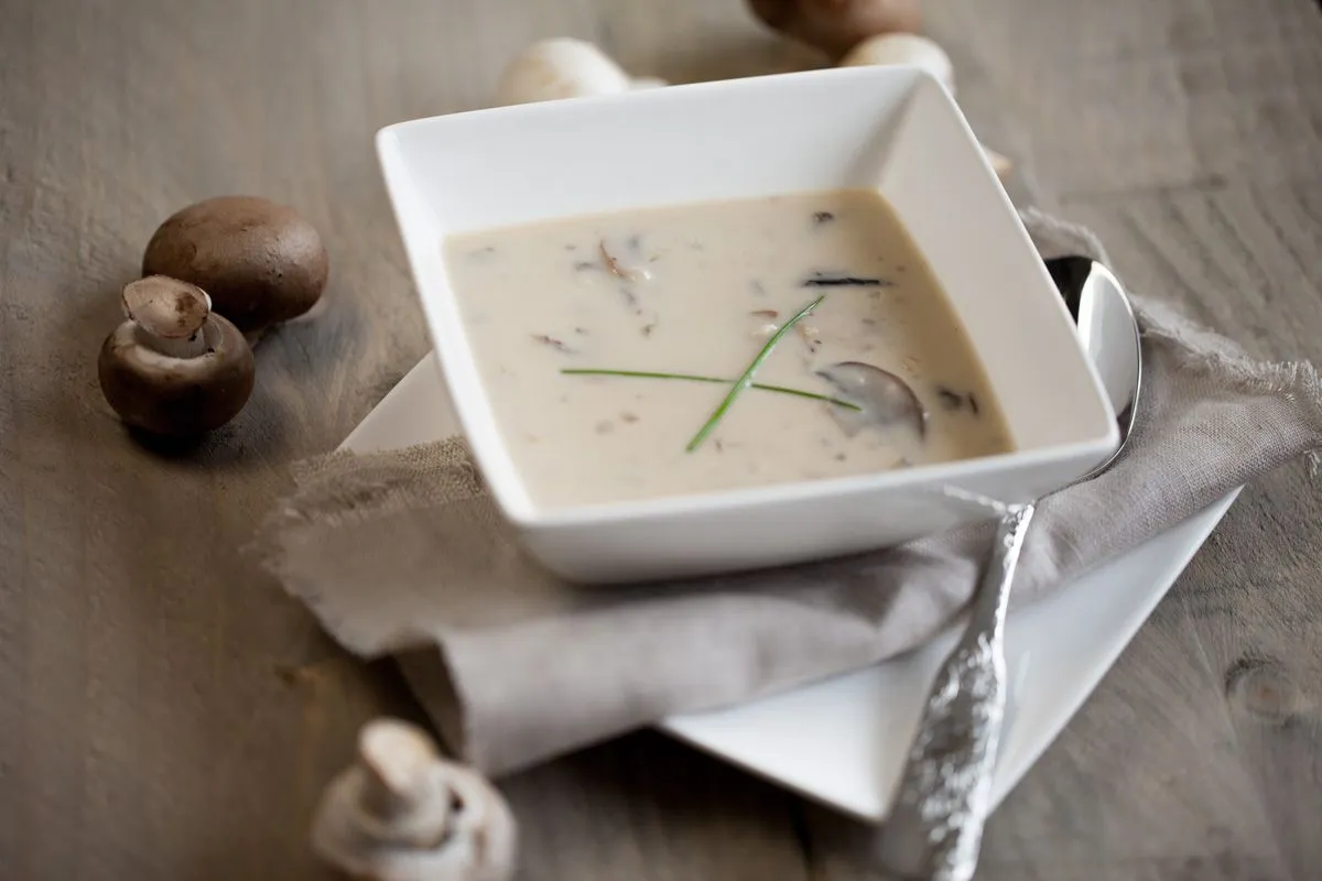 Cream of mushroom soup