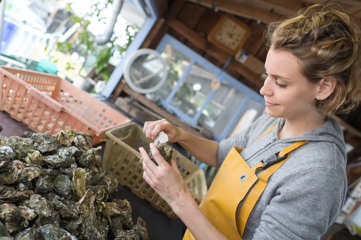 Getting Started In Aquaculture: A Beginner's Guide To Oyster Farming