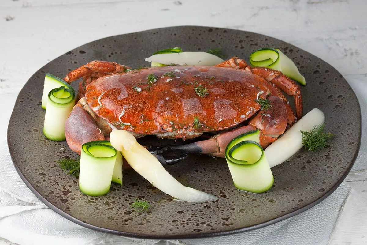 Steamed north sea crab