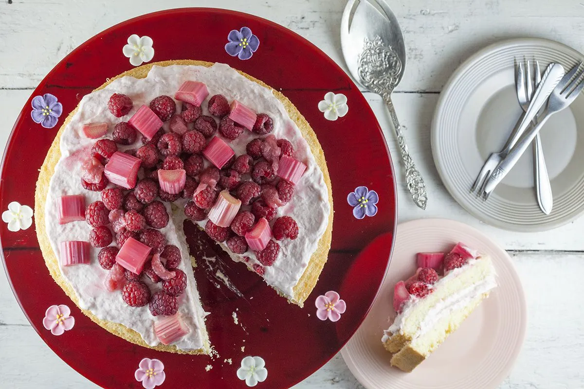 Rhubarb raspberry pie