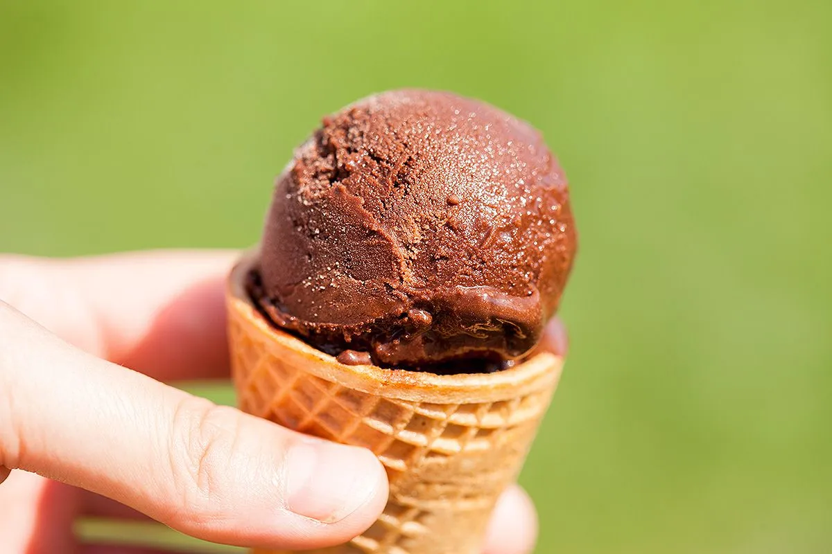 Dark chocolate sorbet