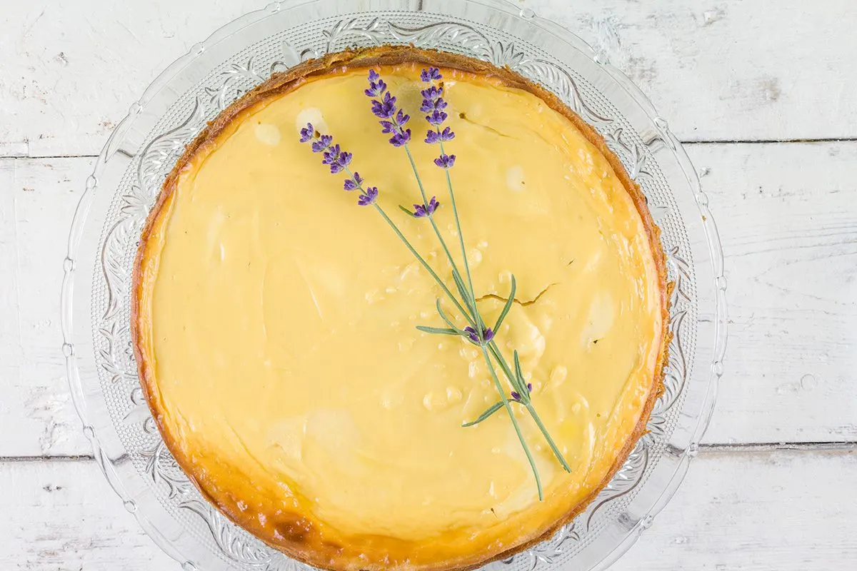 Lavender honey cheesecake