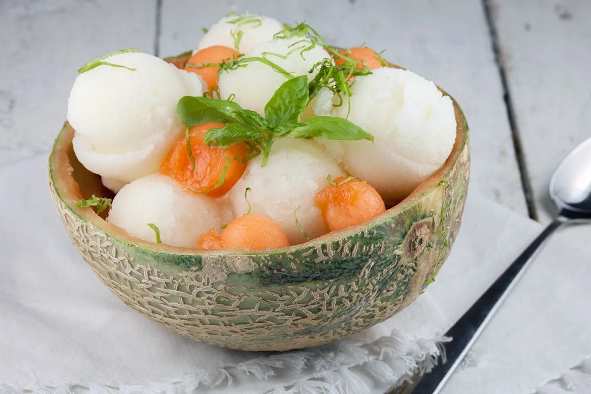 Melon sorbet