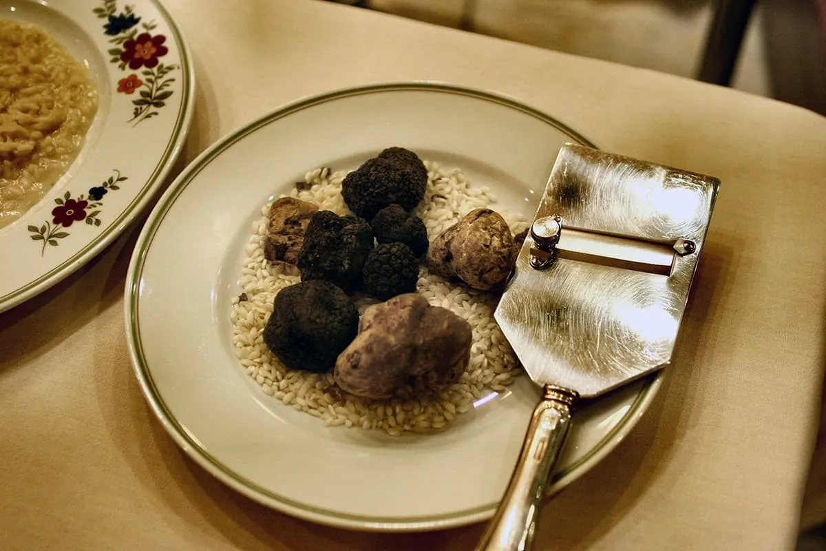 The Difference Between White and Black Truffle Butter: A Culinary Guide