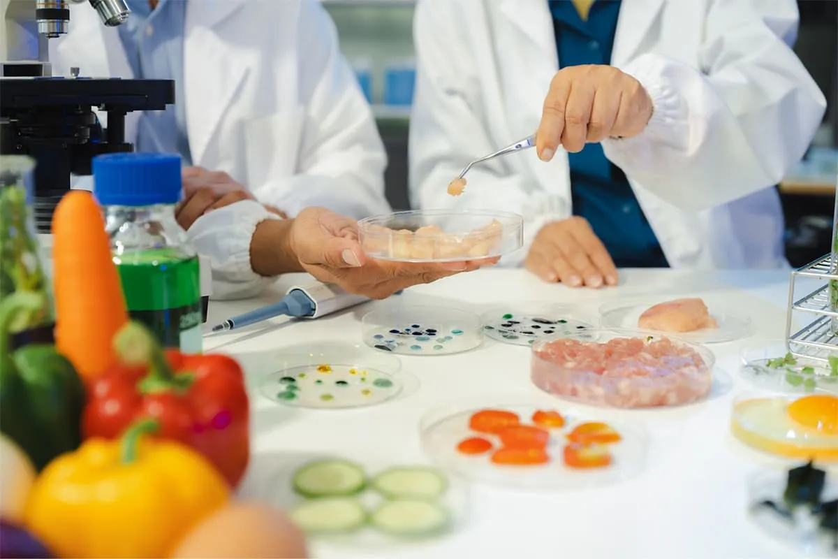 Why Every Modern Kitchen Needs Better Food Ingredients