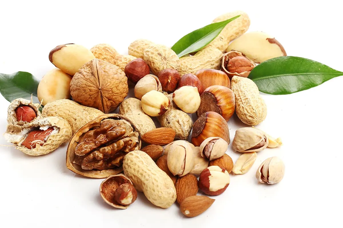 Ingredients All Students Must Use for Energy-Boosting Meals