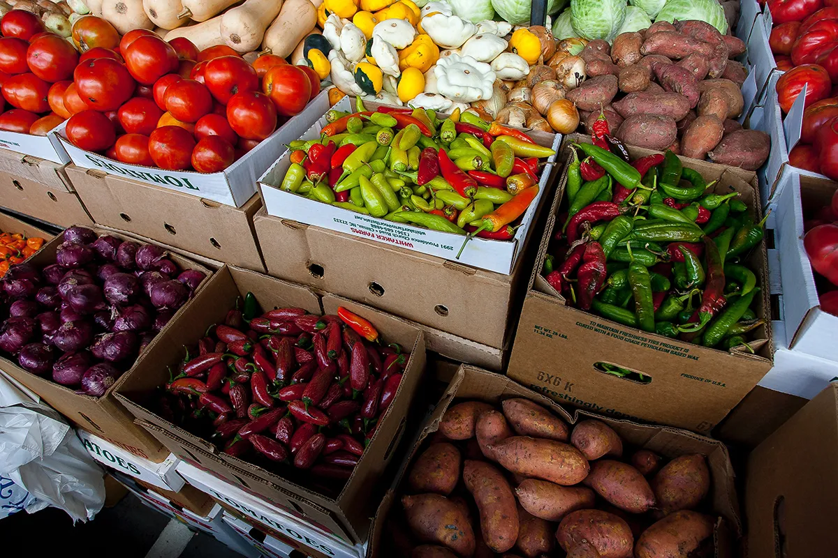 Exploring Sustainable Food Choices: A Guide for Students