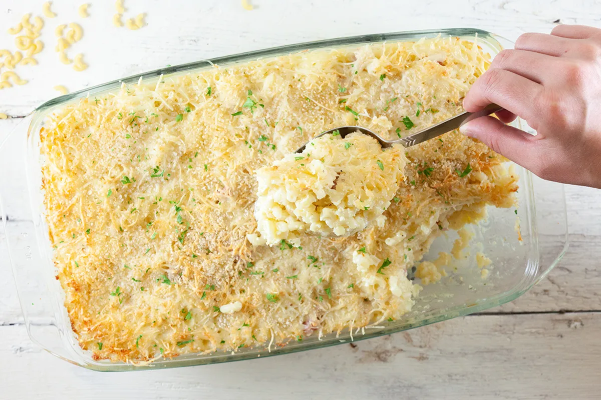Macaroni and boursin gratin
