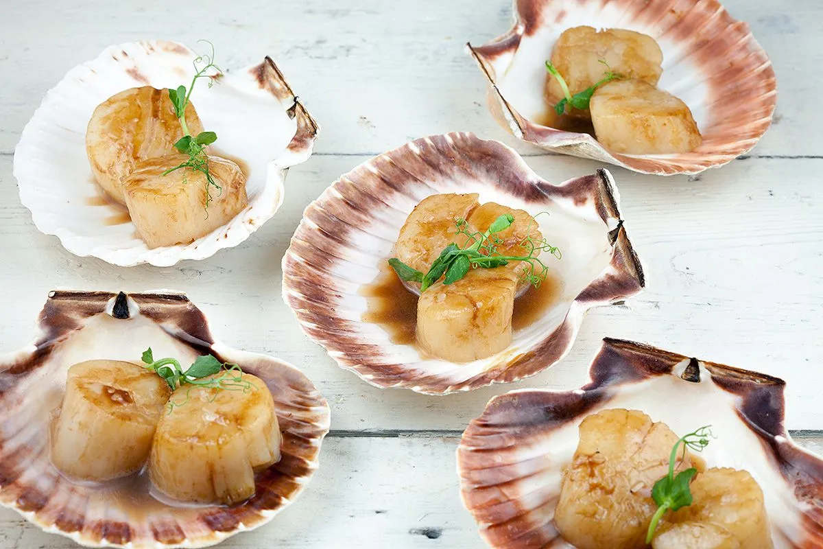 Scallops with balsamic caramel (festive recipe)