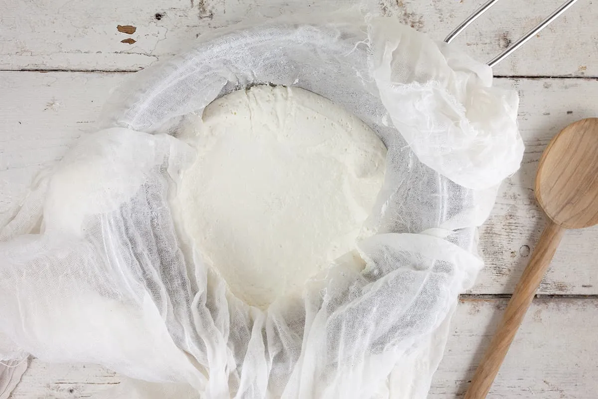 How to make homemade ricotta