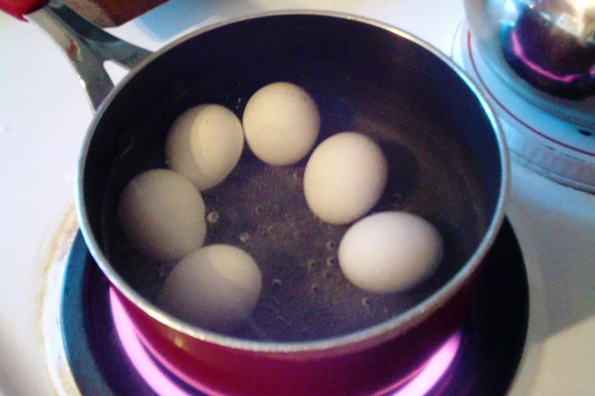 Food myths that just won't go away