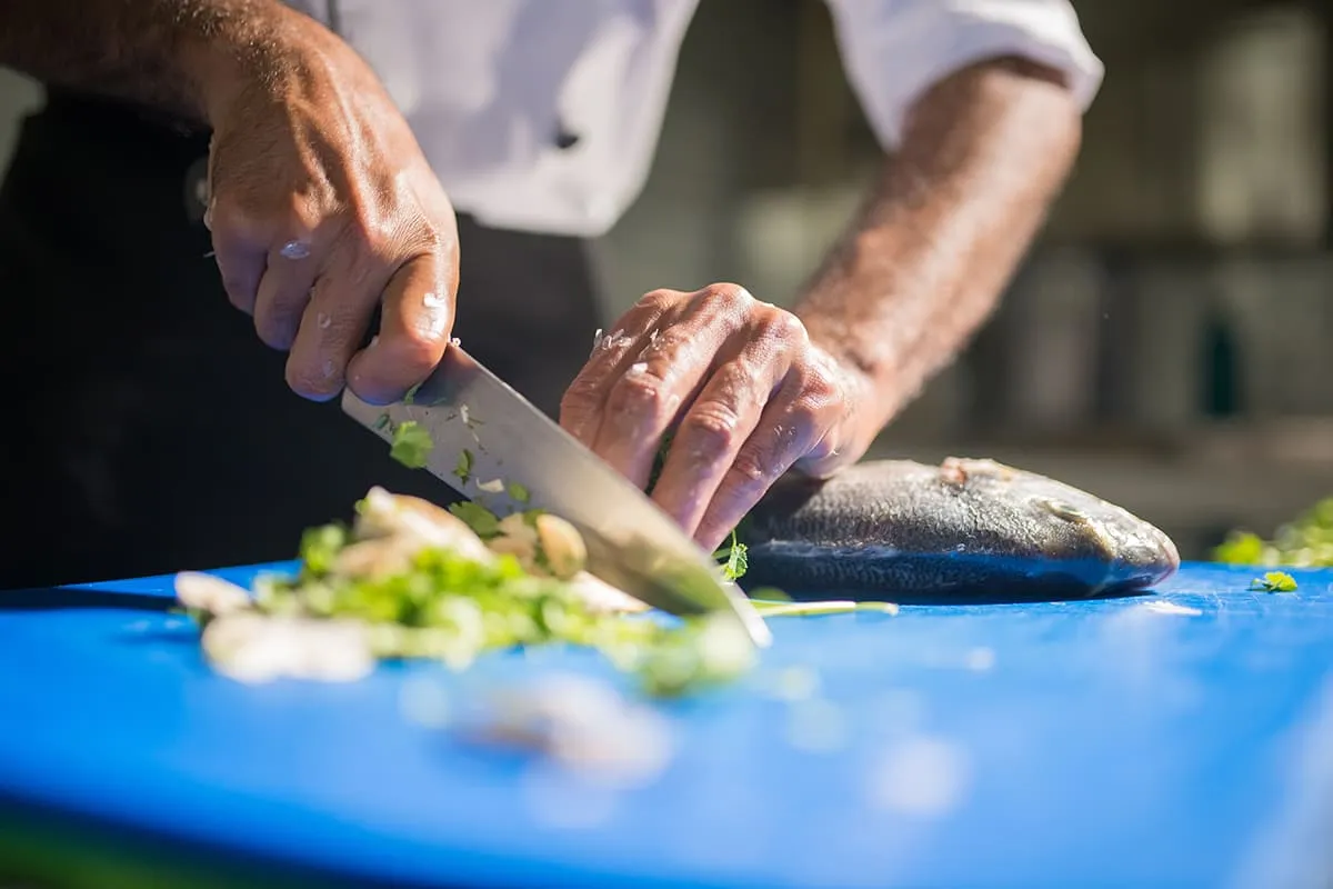 From Kitchen to Table: The Science Behind Safer Food Preparation