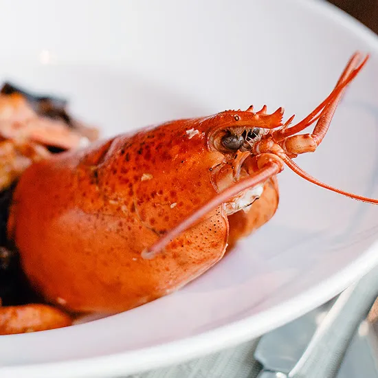 Recipe: From Classic to Creative: 3 Ways to Prepare Lobster Like a Pro