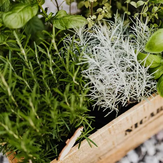 Recipe: Kitchen Witchcraft: Simple Food Rituals to Enhance Your Intuition