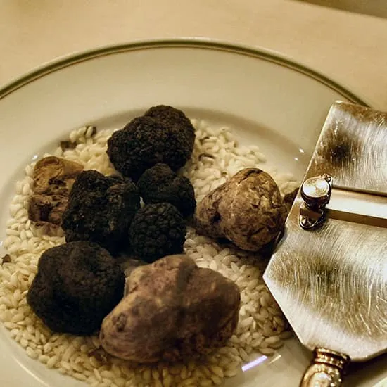 Recipe: The Difference Between White and Black Truffle Butter: A Culinary Guide
