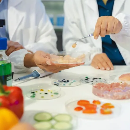 Why Every Modern Kitchen Needs Better Food Ingredients