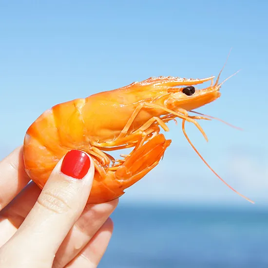 Recipe: Why Key West Pink Shrimp and Stone Crab Claws Deserve a Place on Your Table