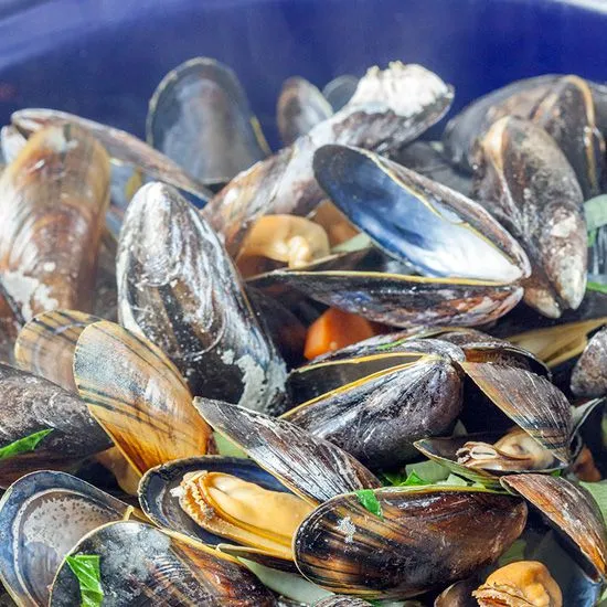 Recipe: Dutch mussels