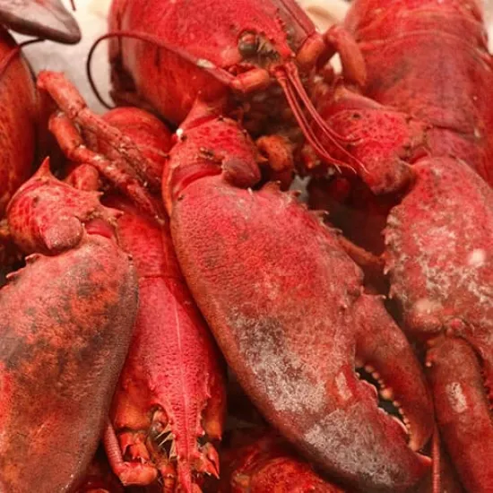 Recipe: Beginner's Guide to Cooking Restaurant-Quality Lobster at Home