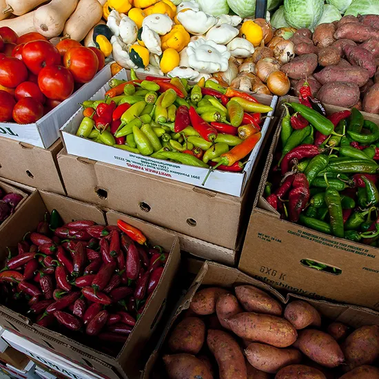 Recipe: Exploring Sustainable Food Choices: A Guide for Students
