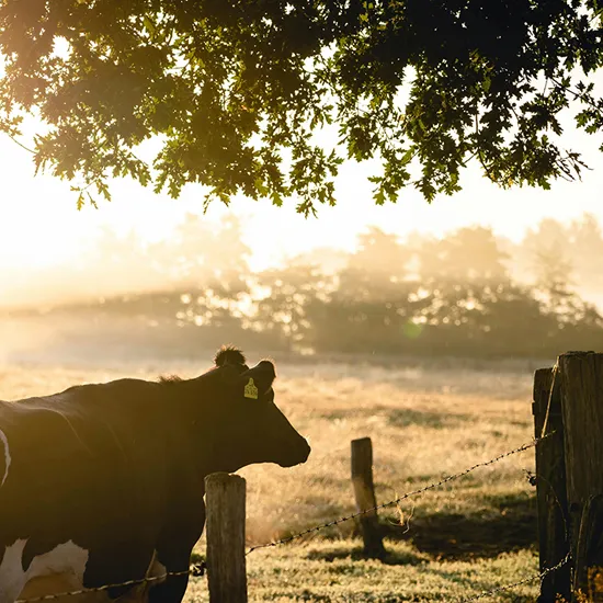 Recipe: Tasting Lancaster County: Why It’s the Dairy Capital
