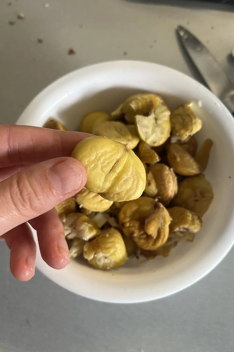 Roasted chestnut
