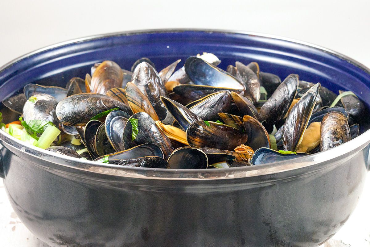 Dutch mussels