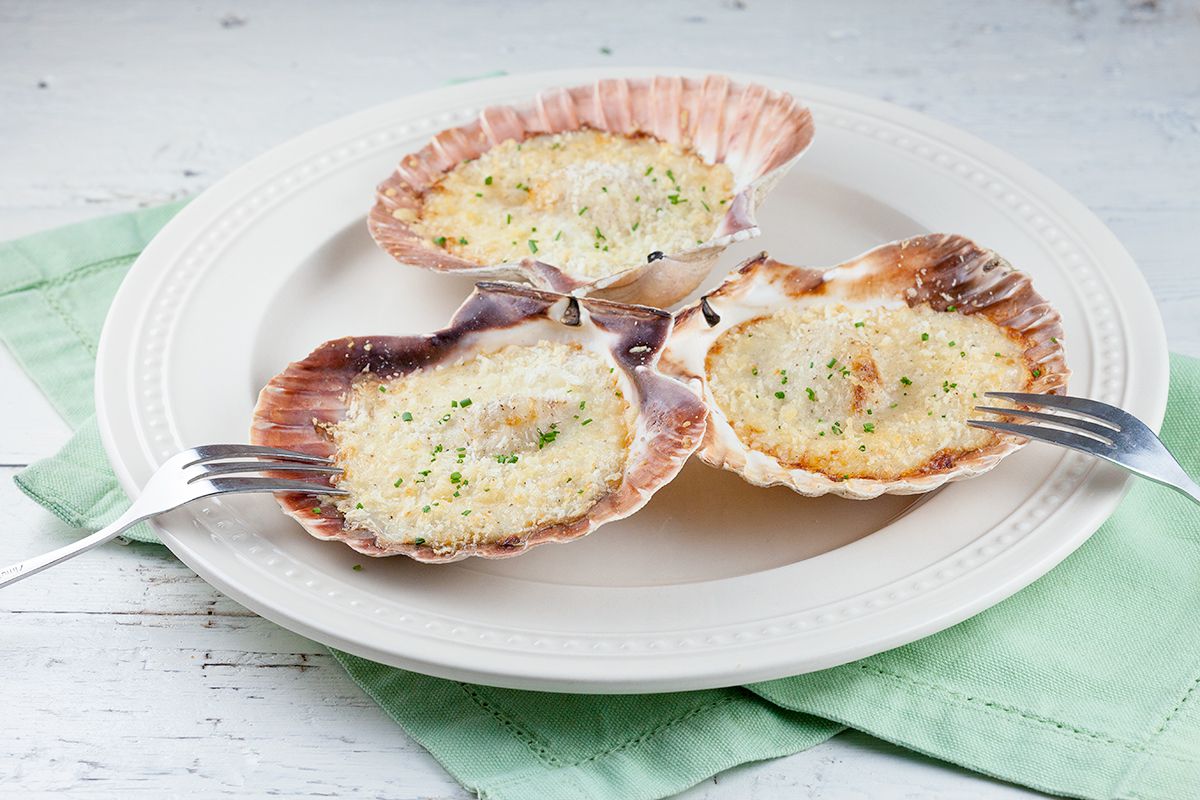 Fresh scallops in bechamel sauce