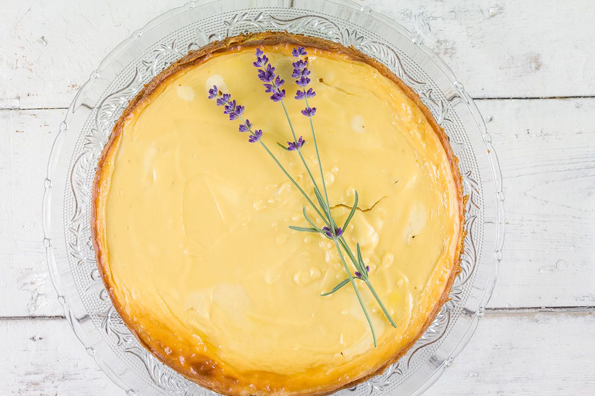 Lavender honey cheesecake